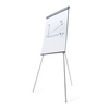 Scritto® Flipchart Standard