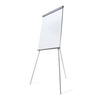 Scritto® Flipchart Standard